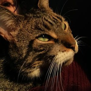 Meet your Posher, Abby